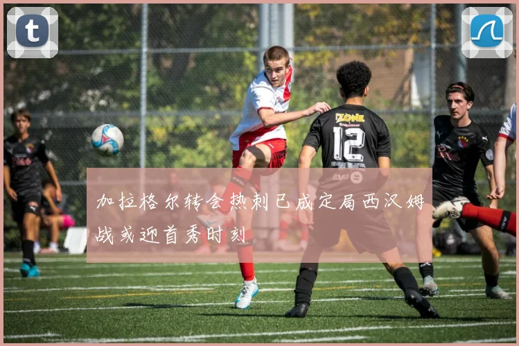 加拉格尔转会热刺已成定局西汉姆战或迎首秀时刻