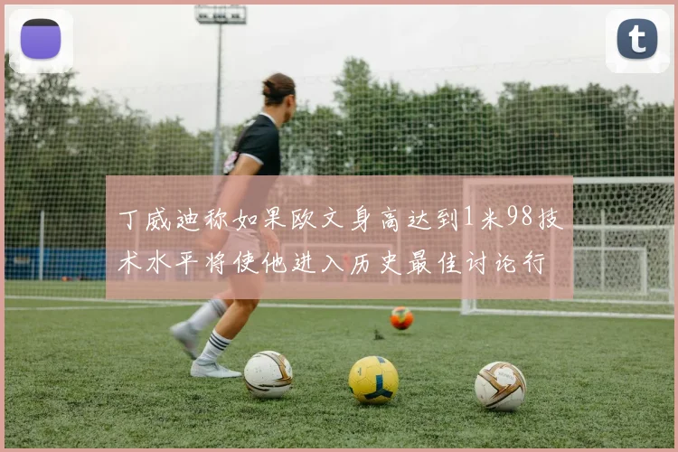 丁威迪称如果欧文身高达到1米98技术水平将使他进入历史最佳讨论行列