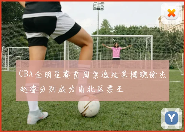 CBA全明星赛首周票选结果揭晓徐杰赵睿分别成为南北区票王